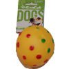 PELOTA ERIZO CHICA CAN CAT