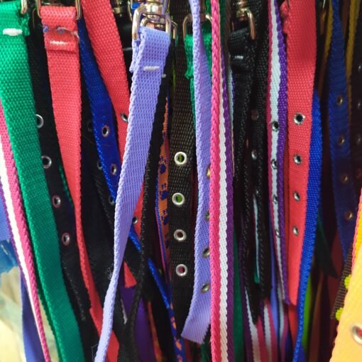 CONJUNTO CORREA Y COLLAR NYLON N1 ARGENPET