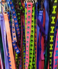 CONJUNTO CORREA Y COLLAR NYLON N2 ARGENPET