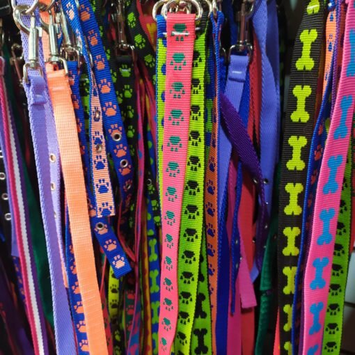 CONJUNTO CORREA Y COLLAR NYLON N2 ARGENPET