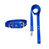 ARGENPET CONJUNTO CORREA Y COLLAR NYLON N3