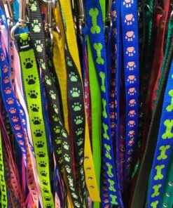 CONJUNTO CORREA Y COLLAR NYLON N4 ARGENPET