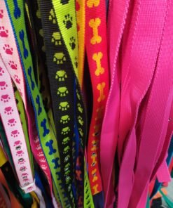 CONJUNTO CORREA Y COLLAR NYLON N5 ARGENPET