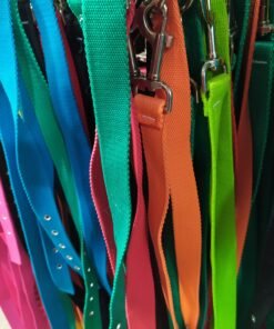 CONJUNTO CORREA Y COLLAR NYLON N6 ARGENPET