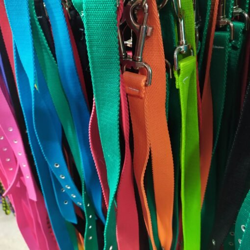 CONJUNTO CORREA Y COLLAR NYLON N6 ARGENPET