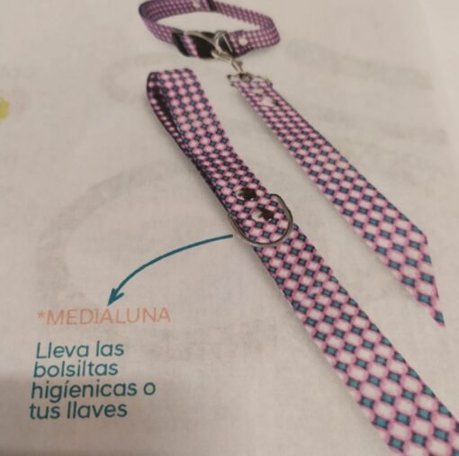 CONJ COLLAR Y CORREA POLIESTER N°2 AP