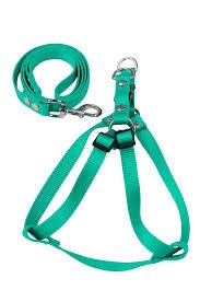 ARGENPET CONJUNTO CORREA Y ARNES