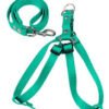 ARGENPET CONJUNTO CORREA Y ARNES