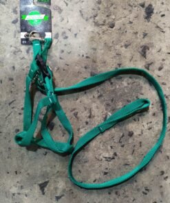 CONJUNTO CORREA Y ARNES REGULABLE N-2