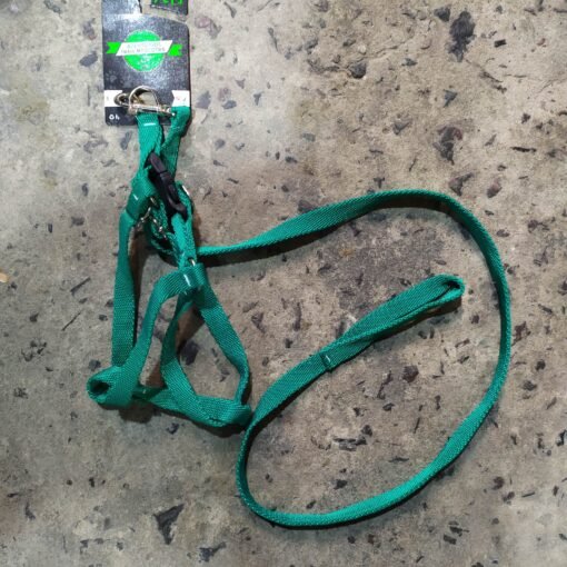 CONJUNTO CORREA Y ARNES REGULABLE N-4