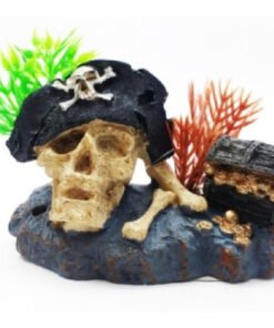 CALAVERA C/SOMBRERO Y COFRE PIRATA 10*4*6