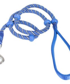 CONJUNTO DE ENTREN. ALPINA TOPE LAZY DOG