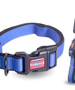 RASCALS COLLAR ACOLCHADO PREMIUM AZUL