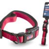 RASCALS COLLAR ACOLCHADO PREM ROJO L 2.5X41-