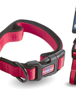 RASCALS COLLAR ACOLCHADO PREM ROJO M 2X35.5-