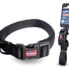 RASCALS COLLAR ACOLCHADO PREM NEGRO L