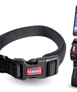 RASCALS COLLAR ACOLCHADO PREMIUM NEGRO M