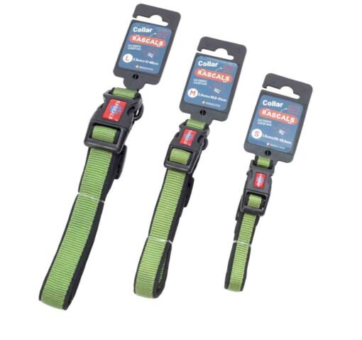RASCALS COLLAR ACOLCHONADO PREMIUM VERDE S