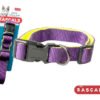 RASCALS COLLAR ACOLCHADO PREMIUM VIOLETA L