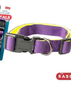 RASCALS COLLAR ACOLCHADO PREMIUM VIOLETA L