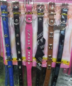 BLISTER DE COLLARES X 6 UN SURTIDOS