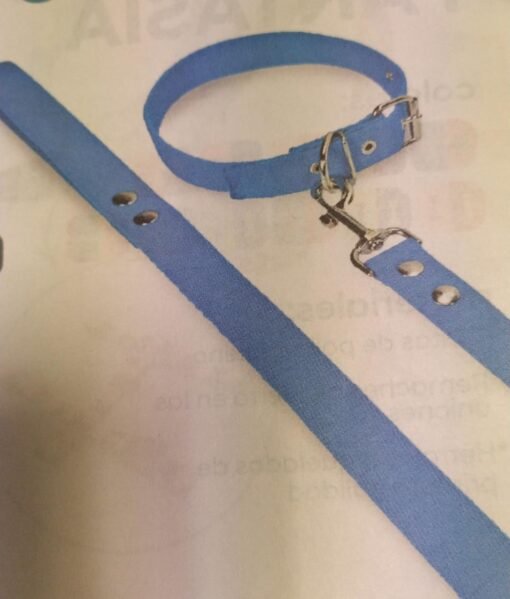CONJ COLLAR Y CORREA LISO N°1 15MM AP