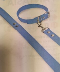 CONJ COLLAR Y CORREA LISO N°2 20MM AP