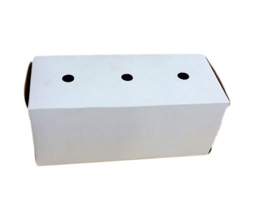 CAJAS DE PAJAROS GRANDES X 50 U