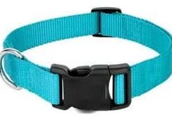 COLLAR REGULABLE NYLON CLASSIC N 4 ARGENPET