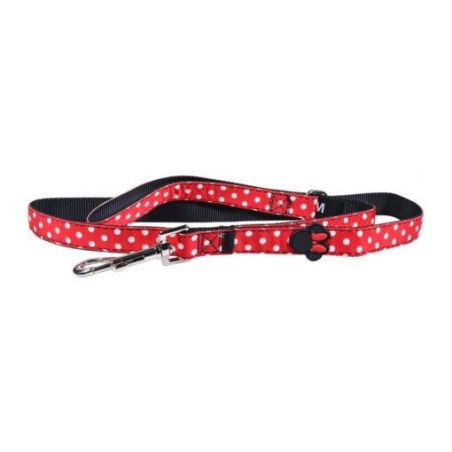 DIXON CORREA P/PERRO "S" MINNIE