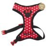 DIXON ARNES P/PERRO "XXS/XS" MINNIE