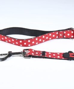 DIXON CORREA P/PERRO "M" DISNEY LOVE