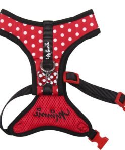 DIXON ARNES P/PERRO XS/S MINNIE
