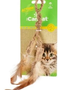 CAN CAT JUGUETE CARTON C/PLUMAS