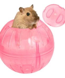 ESFERA ACRILICA P/HAMSTER S/SOPORTE 14 CM