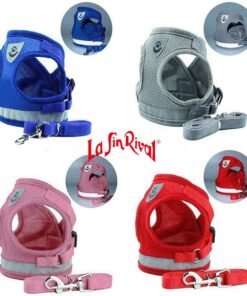 CONJUNTO ARNES Y CORREA SOFT HUELLITA 38-44 CM SF