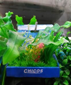 PLANTA CONJ. SURT 10 CM BASE PLASTICA PLC00