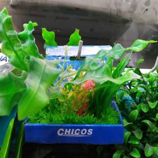 PLANTA CONJ. SURT 10 CM BASE PLASTICA PLC00