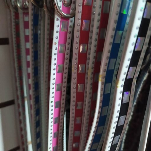 COLLAR P/PERRO C/CUADRADOS METALIZADOS