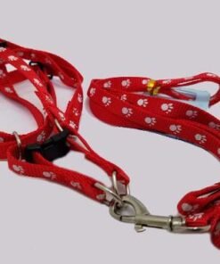 CONJUNTO PRETAL Y CORREA ESTAMPADO