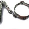 CONJUNTO COLLAR Y CORREA FORRADO N1