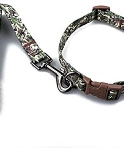 CONJUNTO COLLAR Y CORREA FORRADO N2
