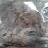 RATON MEDIUM DE PIEL X 2 UNIDADES IMPORTADOR
