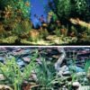 LAMINA PARA ACUARIO ECO 40CM X 25MTS