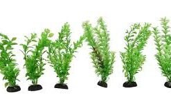 PENN PLAX PLANTAS AQUA PLANT 20 CM X 6