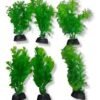 PENN PLAX PLANTAS AQUA PLANT 10 CM X 6