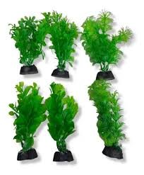PENN PLAX PLANTAS AQUA PLANT 10 CM X 6