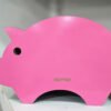 AGATAR RASCADOR CARTON PIGGIE LINEA ZOO