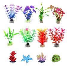 PLANTA 10 CM X 2 UNIDADES (PENPLAX)