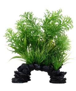 FLUVAL AQUALIFE SCAPES WHITE-TIPPED HOTTO 15-